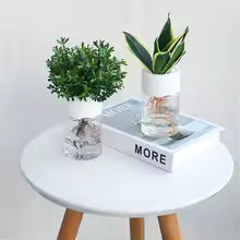 Mini Soilless Plant Pot – Glass-Style Vase